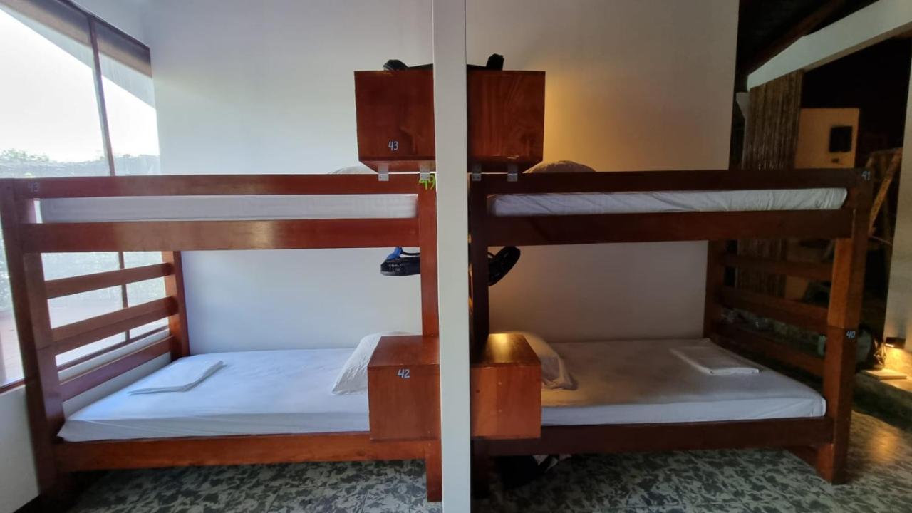 Paradiso Hostel La Laguna Exteriör bild